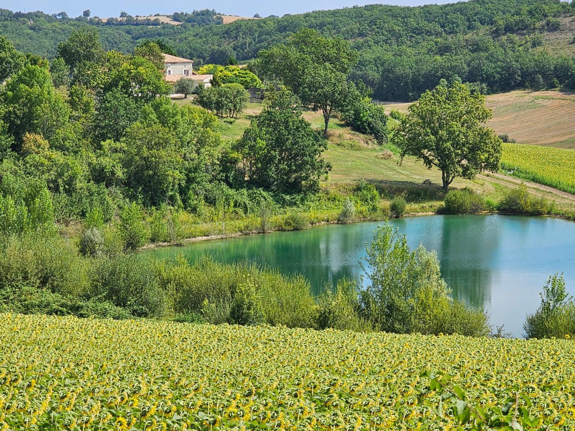 Le Gîte du Souffle des Anges Sauveterre  Eksteriør billede